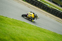 Advanced Group Yellow Bikes